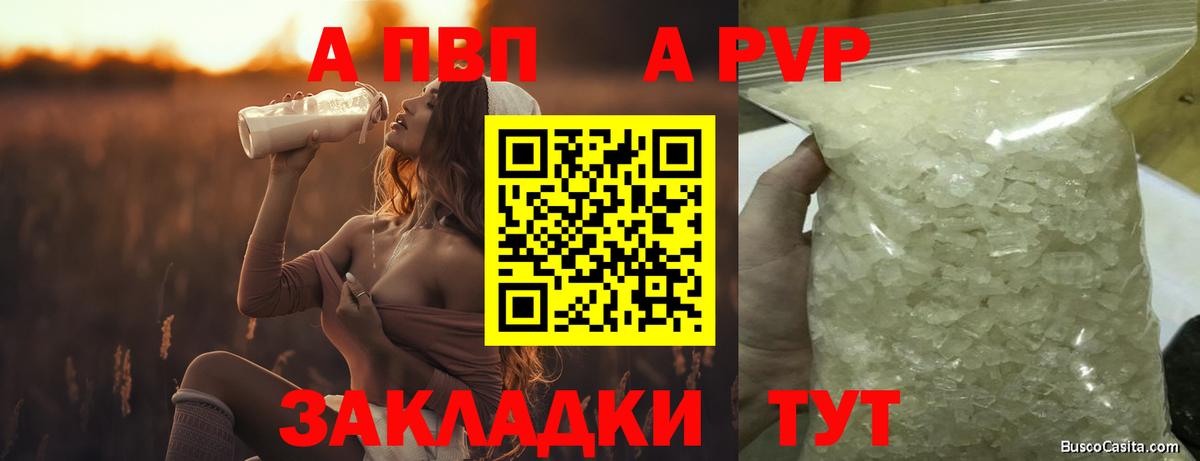 Alfa_PVP СК Дубна