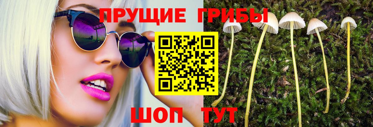 Псилоцибиновые грибы мухоморы  Вход с VPN  Псилоцибиновые грибы GOLDEN TEACHER  Дубна 